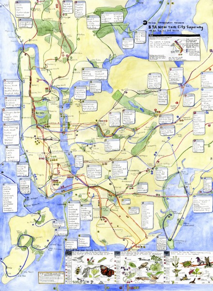 Beeline Transit Map & Crapomimicry  Colin McMullan